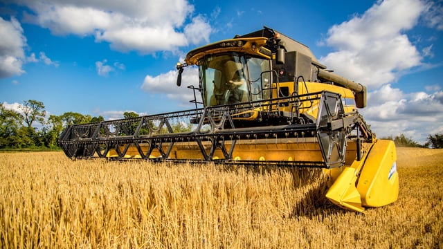 Are Ireland’s ‘tillage barons’ about to become an endangered species?