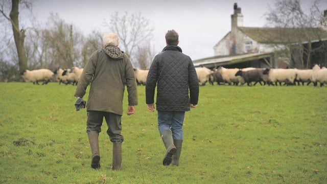 Documentary warns that some farmers may use Brexit as the catalyst to exit agriculture