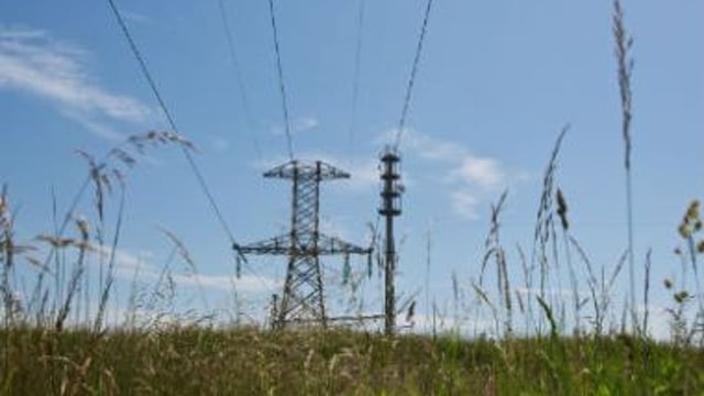 Landowners said to be missing out on electricity line compensation