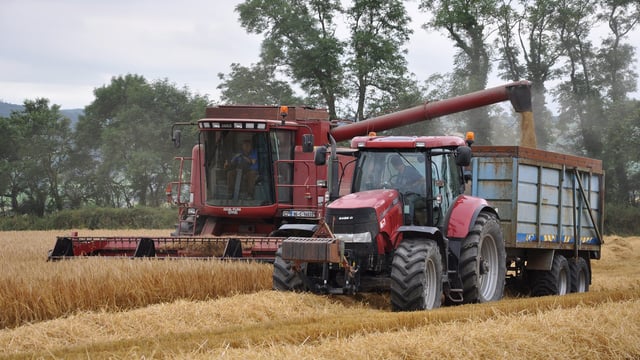 €133/t barley price for non-members of Glanbia; transport allowance changes afoot