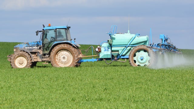 Tillage management: How can you control BYDV and aphids?