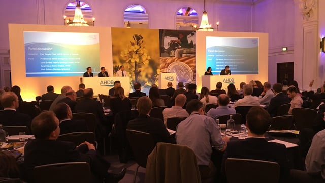 'Hope for the best; plan for the worst': How British tillage experts are planning for Brexit