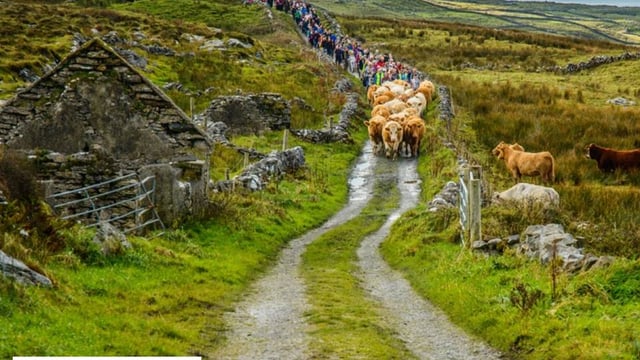 Burren farmer to lead Winterage Community Cattle Drive