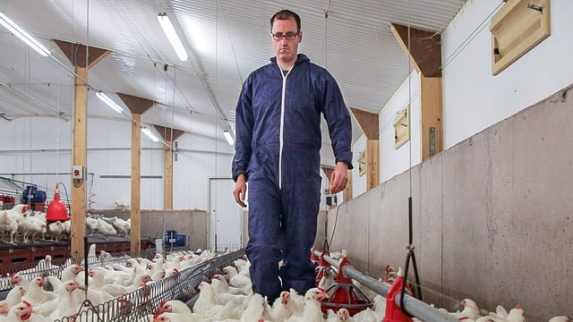 Progressive farmer focus: Generating income for two families on a 70ac Monaghan farm
