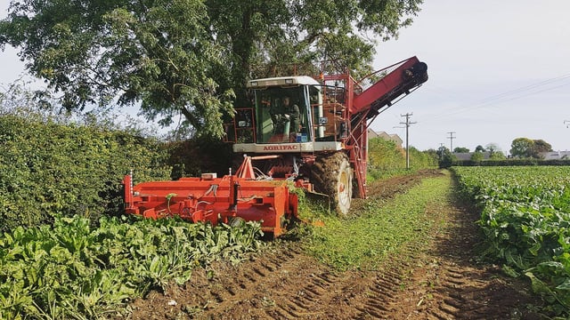 Self-propelled beet harvester in action at open event on Sunday