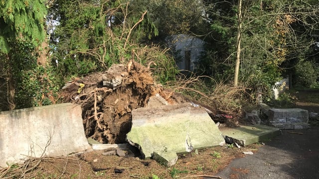 Pics: Scenes of destruction in Cork as farmers count the cost of Ophelia