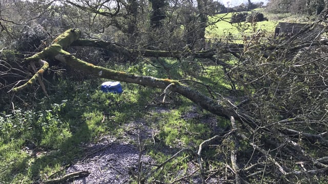 FBD to take €6 million hit following ex-hurricane Ophelia