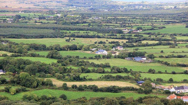 Farmers 'do not want housing estates' on land - Taoiseach