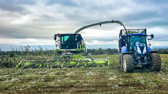 Latest-generation Claas Jaguar hits Ireland - but how does it affect the bottom line?