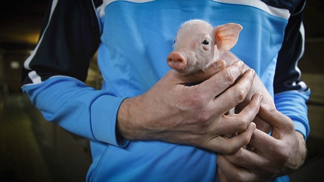 Progressive farmer focus: Taking the reins and doubling production in Co. Cavan