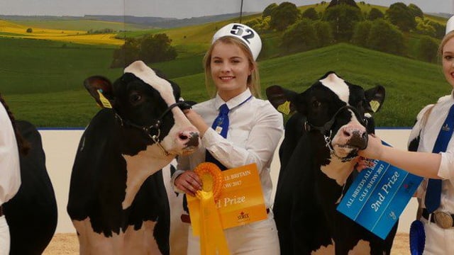 Northern Ireland Holstein breeders manage impressive All-Britain campaign