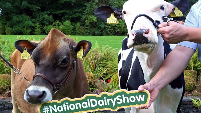Celeb chef and rugby star 'line-out' for National Dairy Show 2017