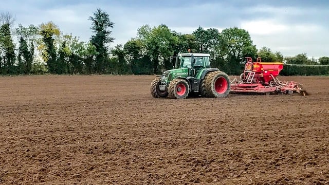 How much seed is available for each variety in 2018?