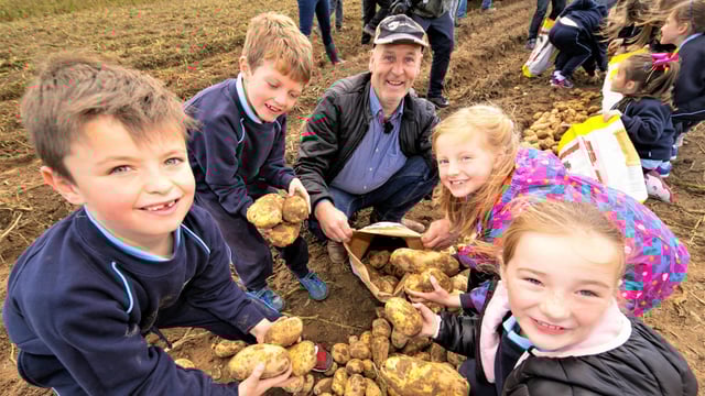 National Potato Day: Consumers urged to choose Irish potatoes