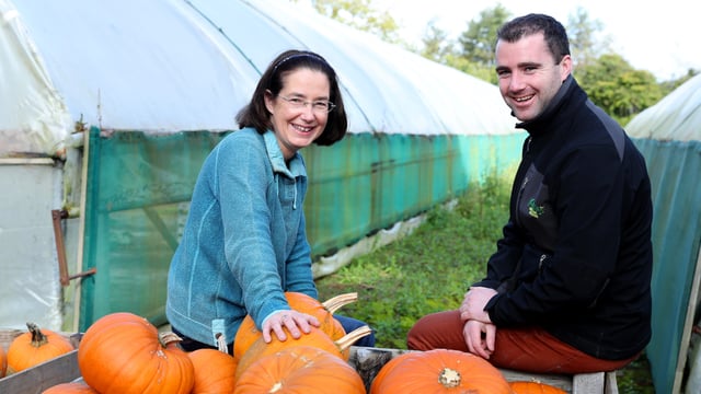 Dublin pumpkin grower carves out a busy lifestyle