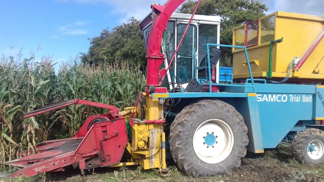 Maize harvest kicking into gear - in a north-bound trajectory