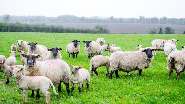 Unsettled and showery conditions forecast for the week ahead