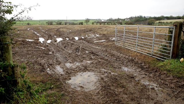 Biodiversity experts explain impacts of slurry spreading on wet soil