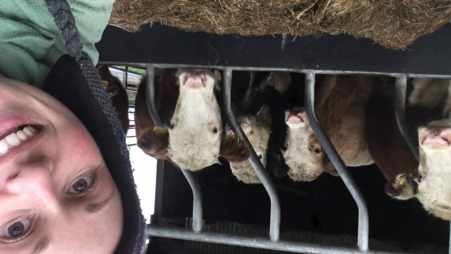 Waterford artist draws on farm life for inspiration
