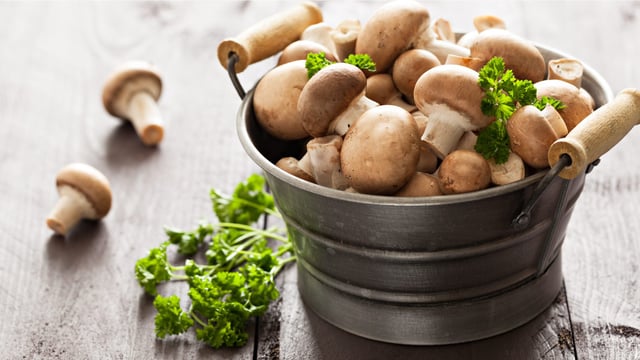 Mushroom firm enters administration just two years after £1.5m investment