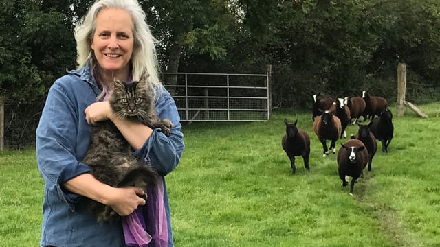 Kilkenny 'shepherd cat' gets the cream - lands owner tasty book deal