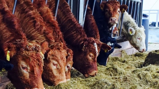 Over 7,000 farmers applied for a Nitrates Derogation in 2017