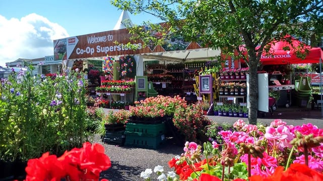 Dairygold's store network to be enhanced in €11.5 million investment
