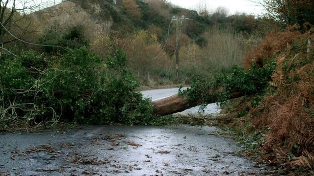 220,000 Irish homes and businesses without power as ex-hurricane Ophelia hits the UK
