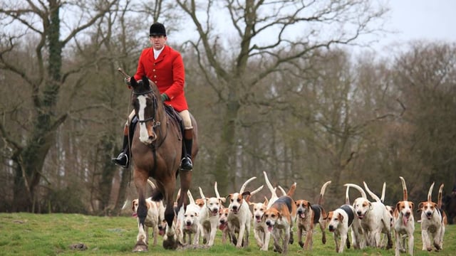 Poll shows fox hunting low on voters' agenda - Countryside Alliance
