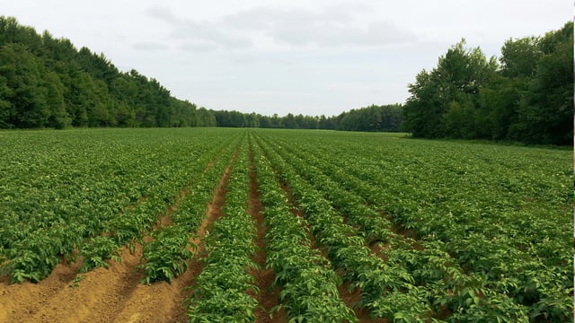 Horticulture enterprise grows for Mayo couple