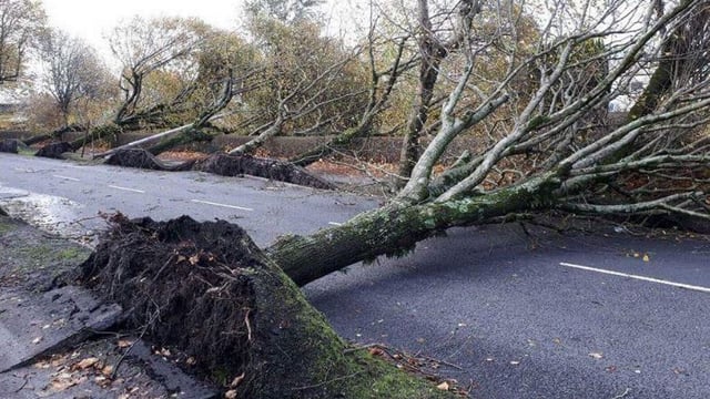 Department's assessment of storm's impact: Structural damage and outages on farms