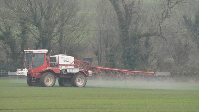Tillage management: Aphid numbers up but not dramatically