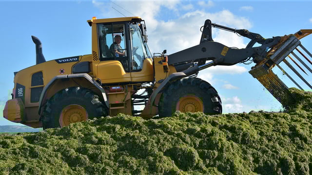 Volvo CE grows its share in key international markets