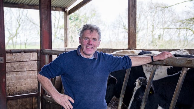 Dairy focus: Making the transition to spring milk in Co. Limerick