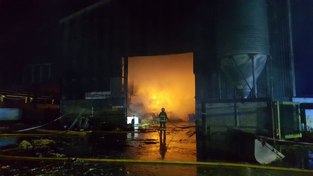 'Rare Breed' farmer loses straw and machinery in major shed blaze