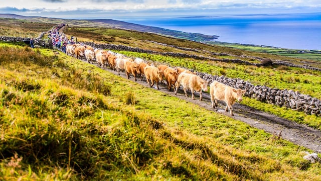 The Burren is set for Winterage weekend