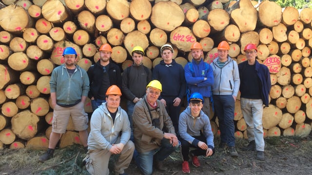Forestry career: 'Wooden' it be nice...