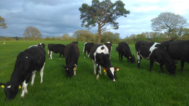 Development work will ring the changes at Glenstal Abbey farm