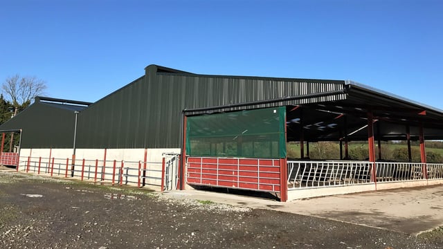 Buildings focus: Facilitating more cows with a 147-cubicle monster
