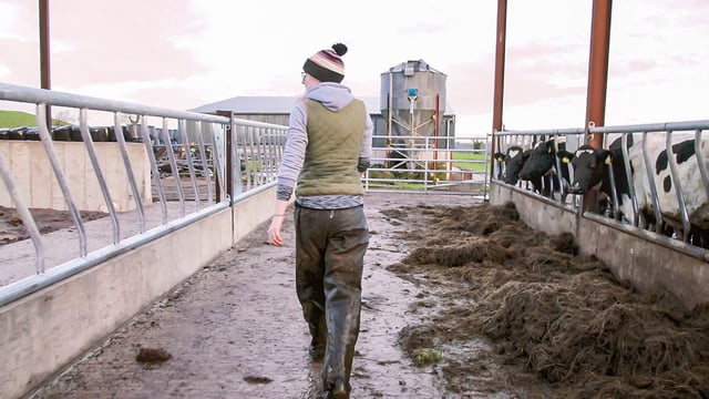 Macra calls for 'robust' active farmer definition under next CAP