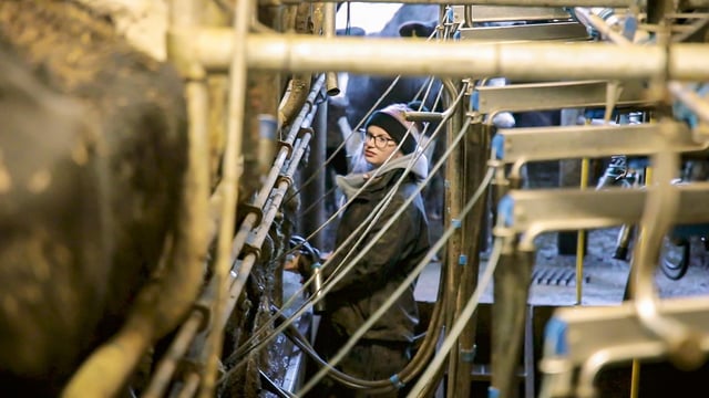 Progressive farmer focus: Breaking down boundaries on a Co. Limerick dairy farm