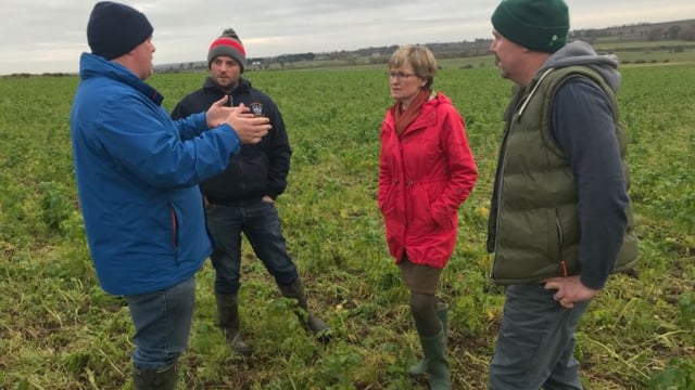 'Conservation agriculture has a role to play in future European farming'