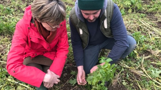Today is World Soil Day - look after it