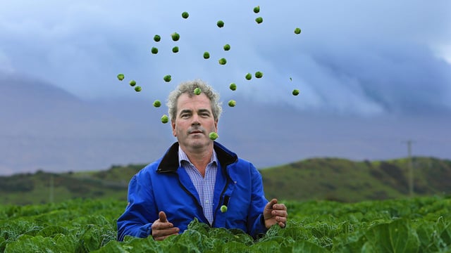 'Cultivating brussels sprouts 18 hours a day won't ruin my Christmas dinner'