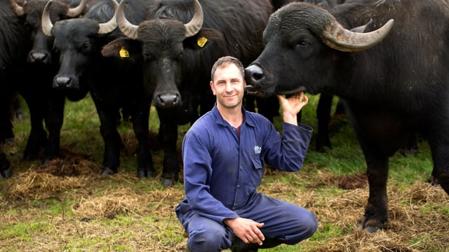 TV producers looking to dig into Northern Irish farming life