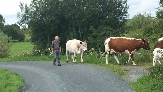 Roscommon-based sculptor turns his hand to cheesemaking