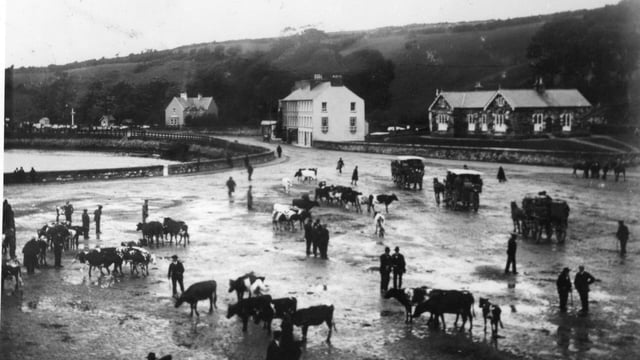 End of the line: What's next for farming along Ireland's railways?