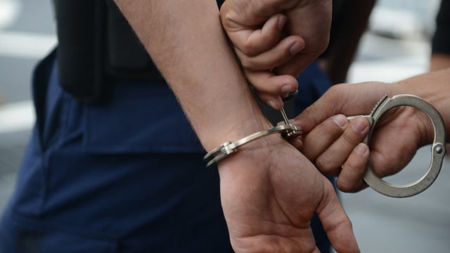 5-year jail sentence for DoneDeal scammer who sold stolen livestock trailers