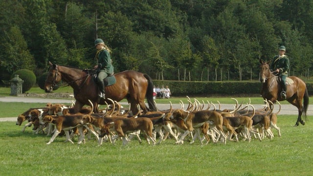 Woman dies in hunting accident in Tipperary