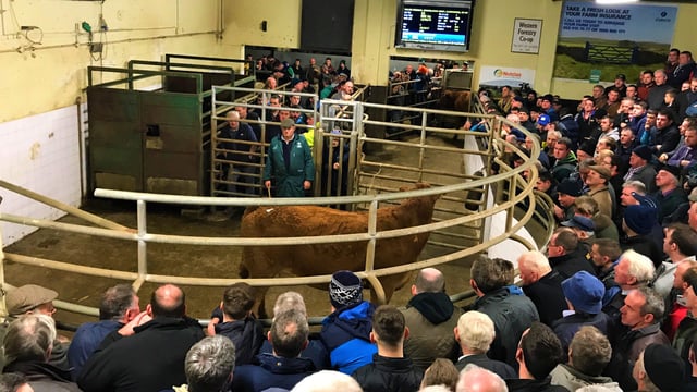 Kanturk Mart hosts 'Rearing for Rickie' fundraiser